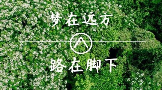 上?？婆d儀器